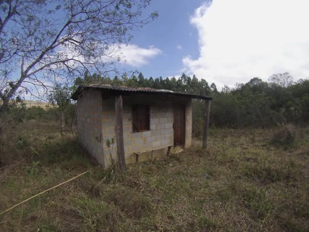 Fazenda, 45 hectares - Foto 12