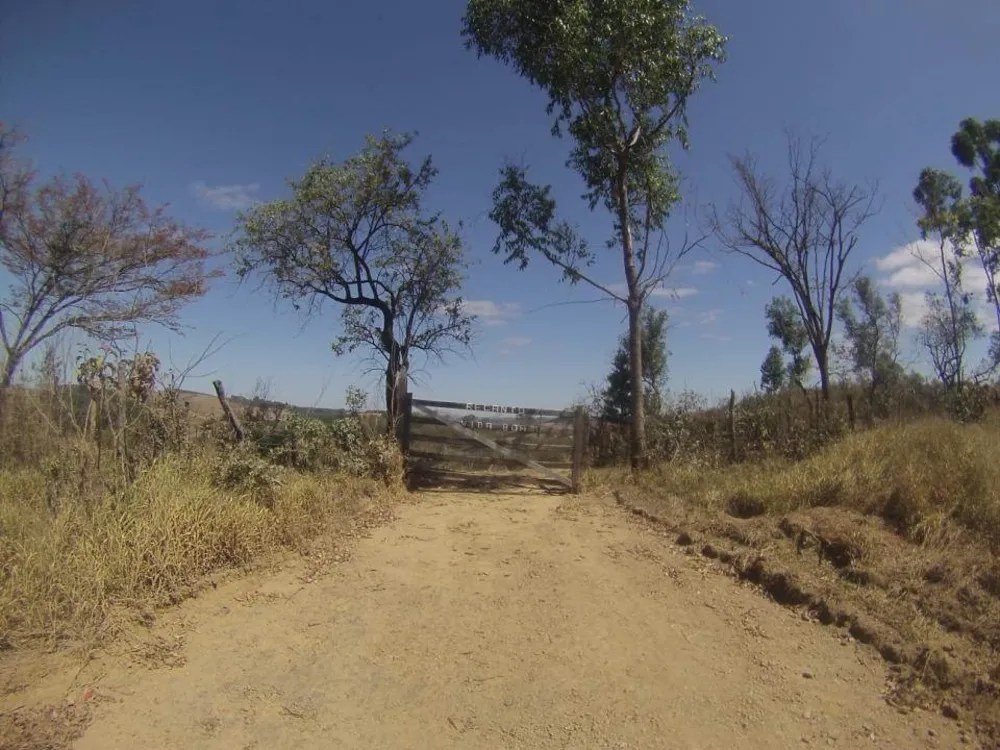 Fazenda, 45 hectares - Foto 8