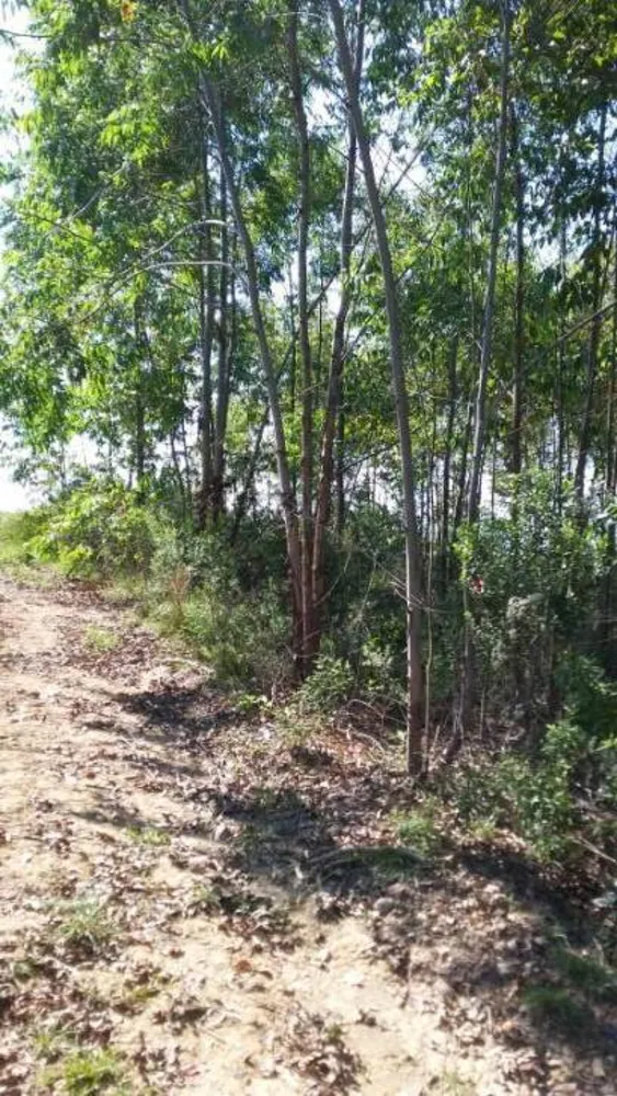 Fazenda, 45 hectares - Foto 16