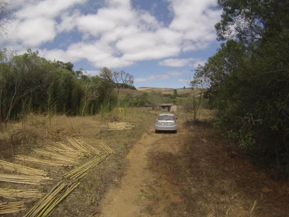 Fazenda, 45 hectares - Foto 11