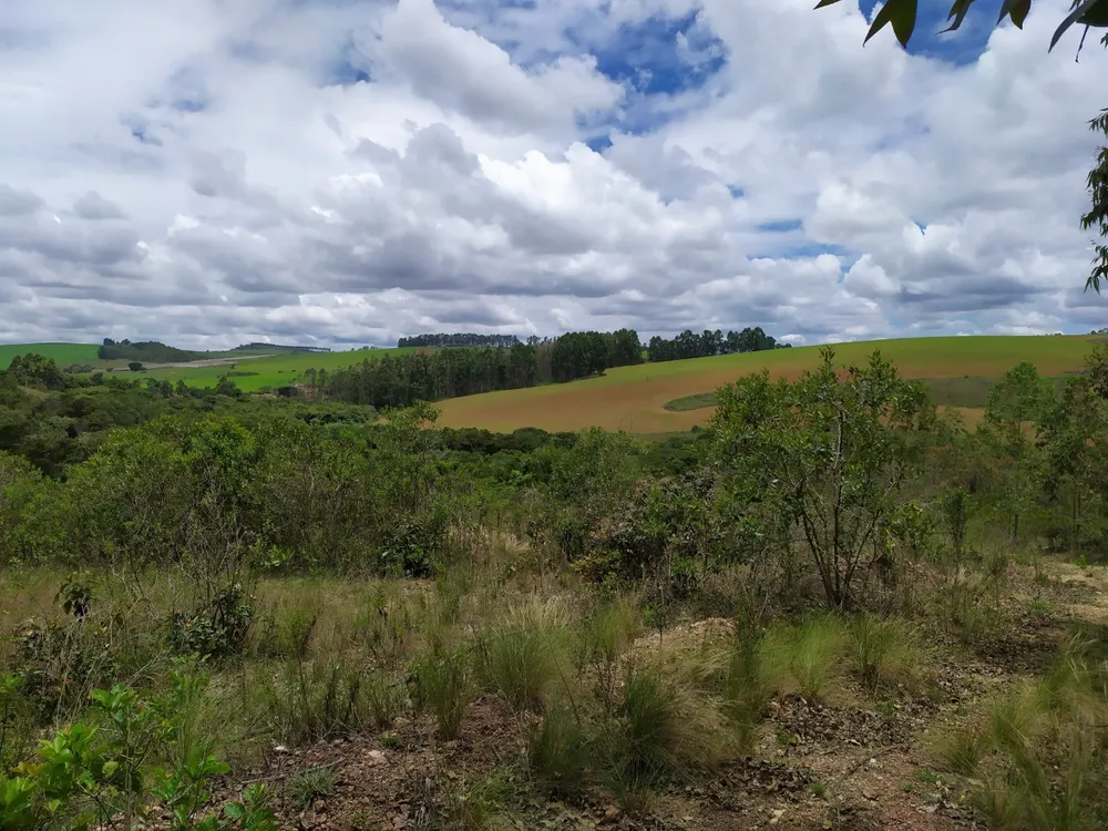 Fazenda, 45 hectares - Foto 3
