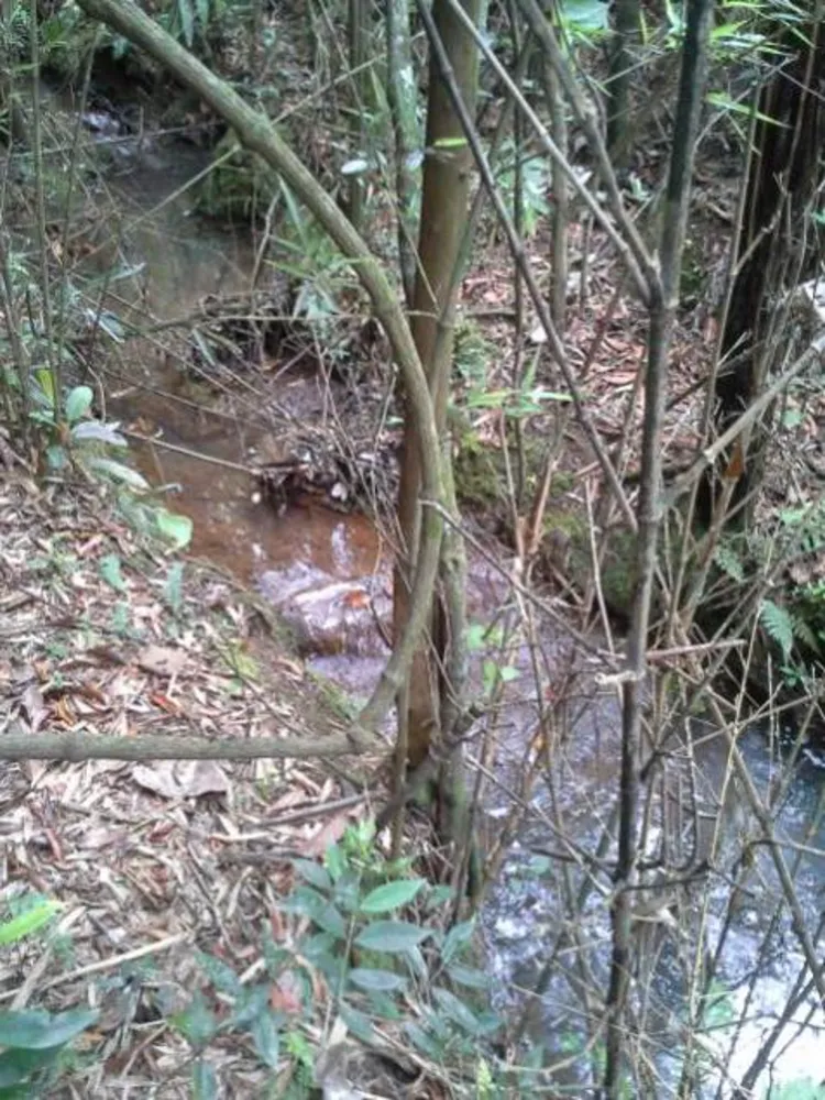 Fazenda, 45 hectares - Foto 10