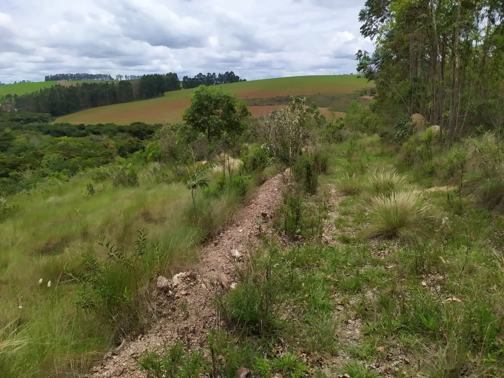 Fazenda, 45 hectares - Foto 2