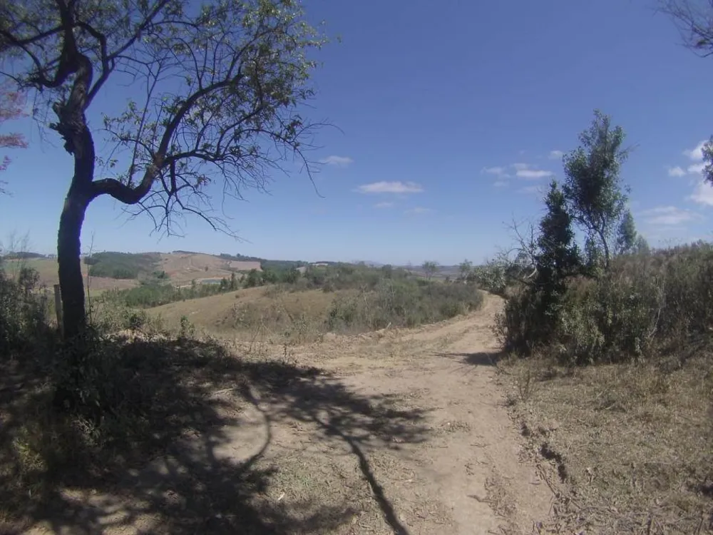 Fazenda, 45 hectares - Foto 12
