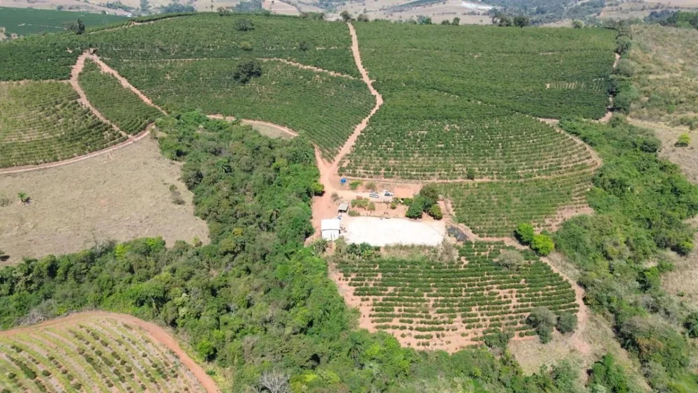 Sítio, 1 quarto, 24 hectares - Foto 6