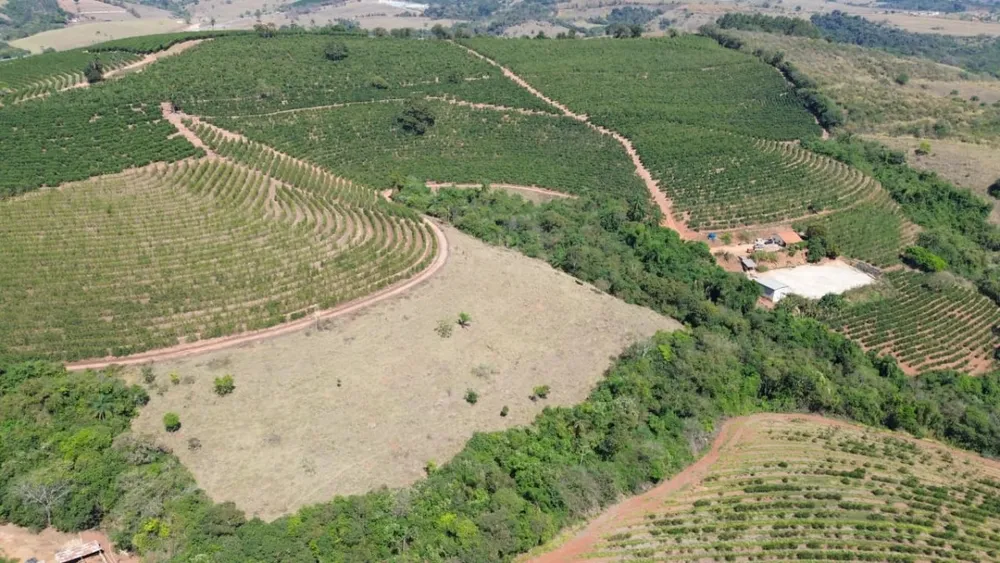 Sítio, 1 quarto, 24 hectares - Foto 7