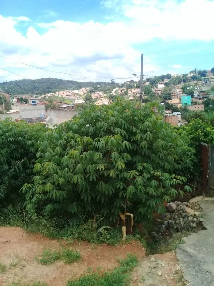 Terreno à venda, 360m² - Foto 7