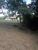 Terreno, 5000 m² - Foto 4