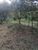 Terreno, 5000 m² - Foto 3
