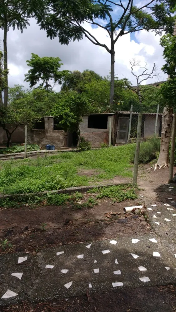 Chácara, 6 quartos, 5000 m² - Foto 2