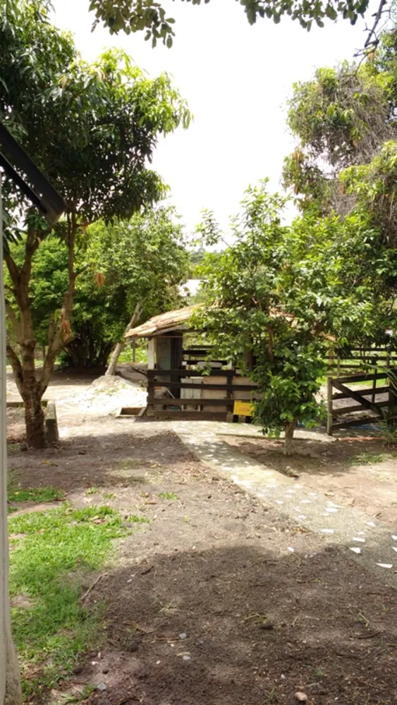 Chácara, 6 quartos, 5000 m² - Foto 1