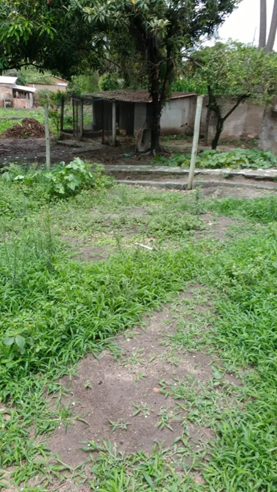 Chácara, 6 quartos, 5000 m² - Foto 3