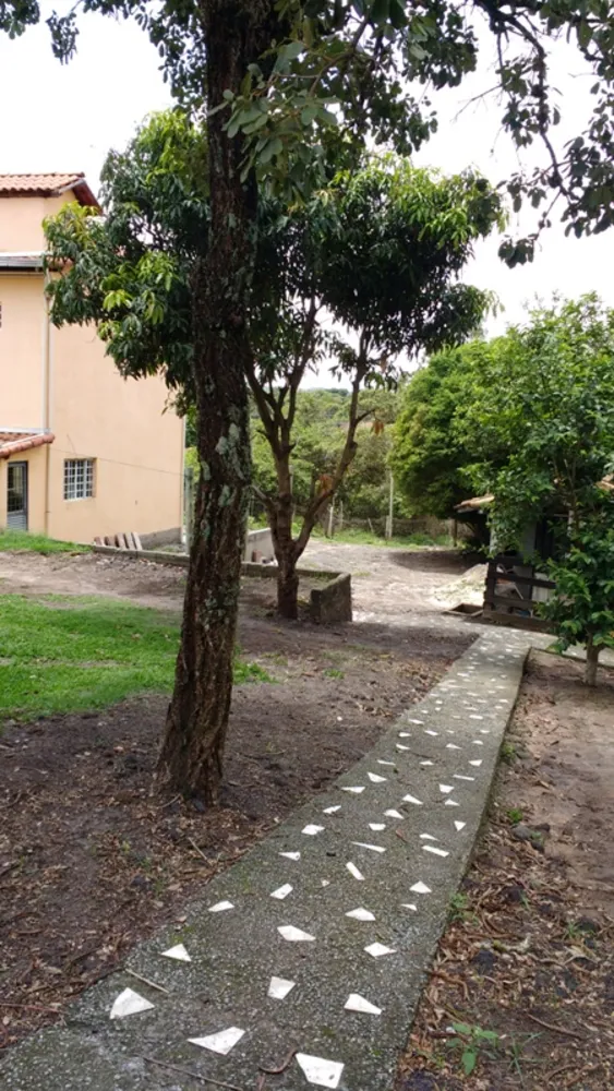 Sítio, 6 quartos, 5000 m² - Foto 1