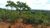 Terreno, 360 m² - Foto 1