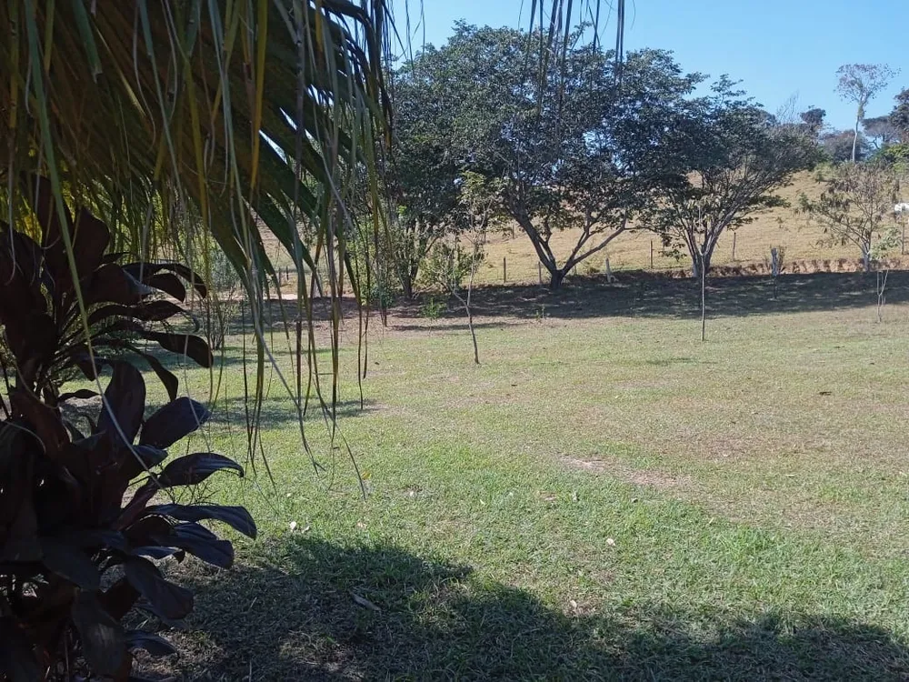 Sítio, 6 quartos, 550 m² - Foto 6