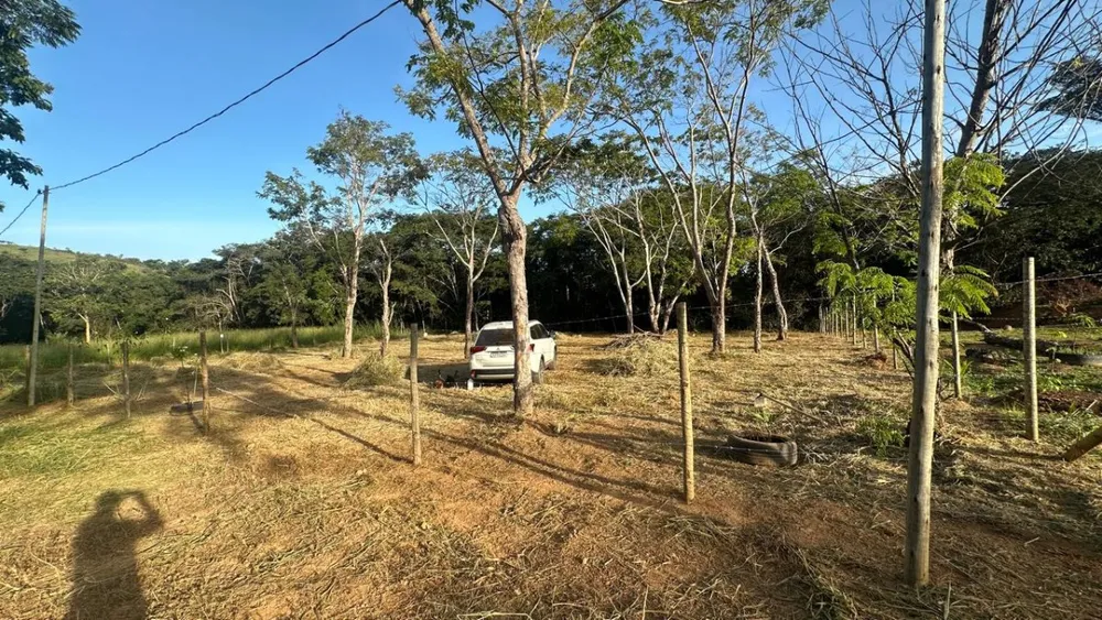 Terreno - Foto 1