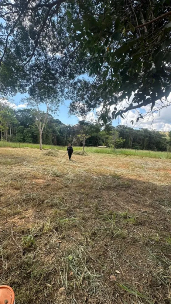 Terreno - Foto 3