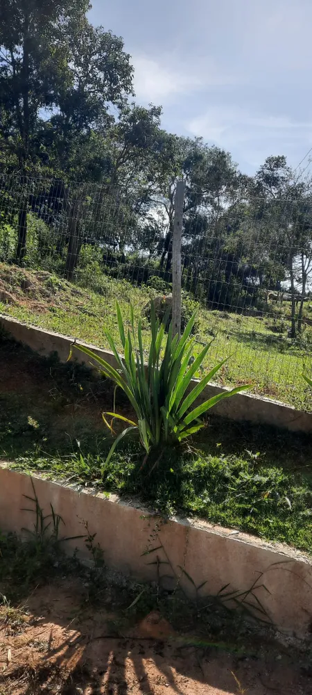 Chácara, 4 quartos - Foto 4
