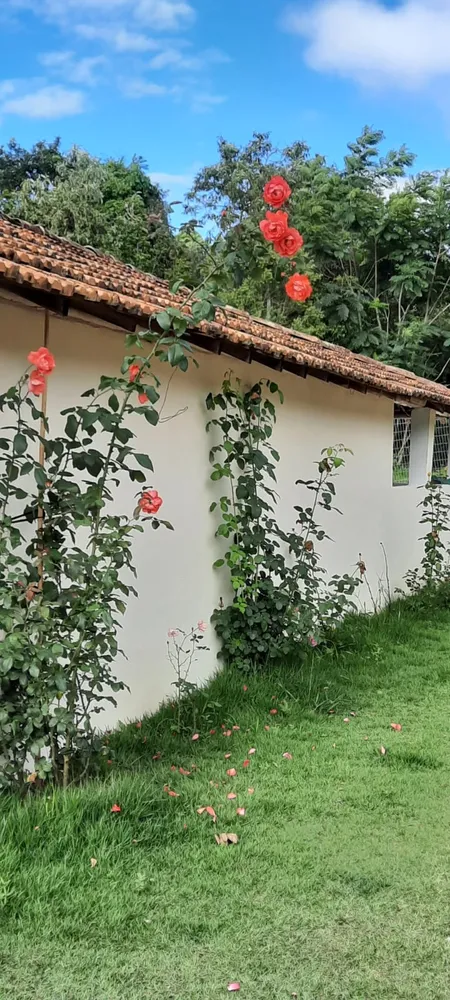 Chácara, 4 quartos - Foto 8