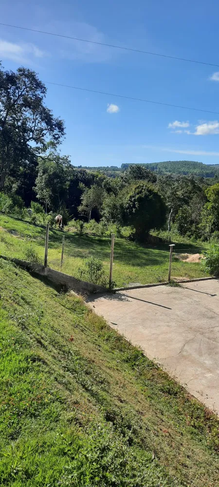 Sítio, 4 quartos, 2000 m² - Foto 4