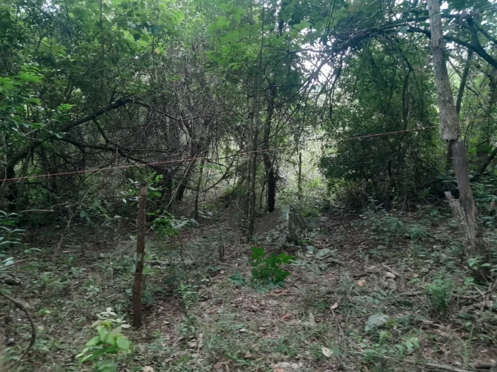Chácara, 1 quarto - Foto 2