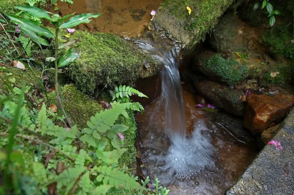 Chácara, 1 quarto - Foto 3