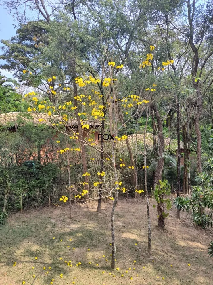 Casa, 5 quartos, 236 m² - Foto 9