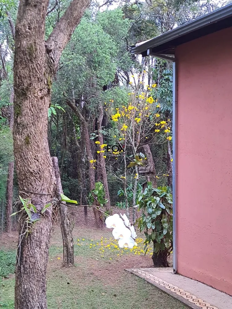 Casa, 5 quartos, 236 m² - Foto 12