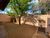 Casa, 3 quartos, 350 m² - Foto 3
