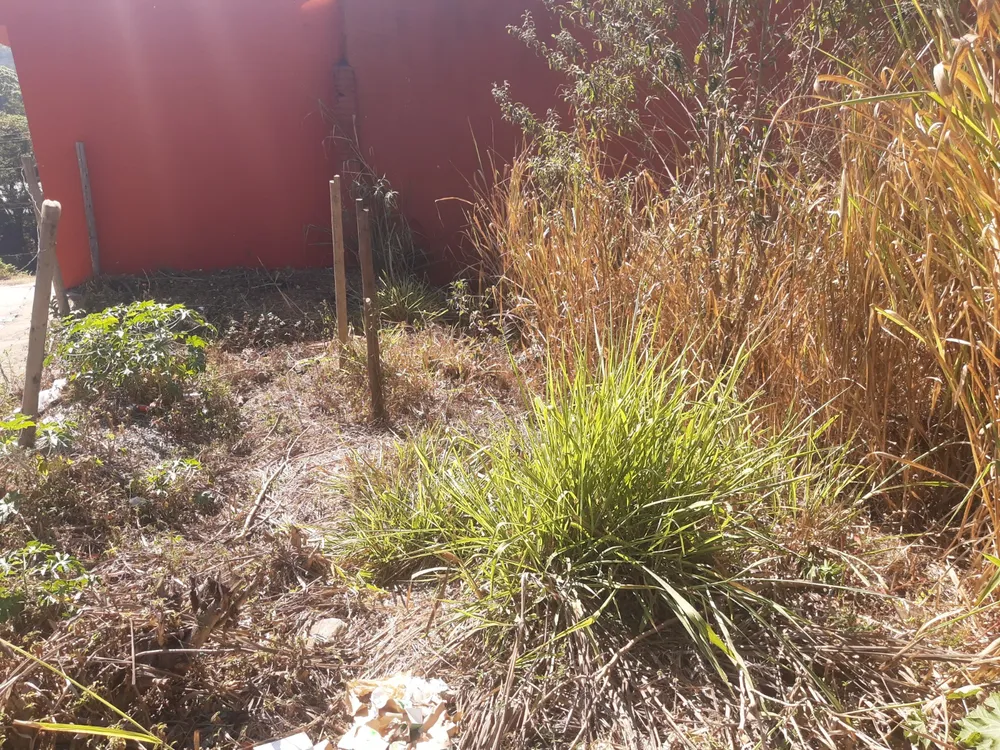 Terreno, 197 m² - Foto 6