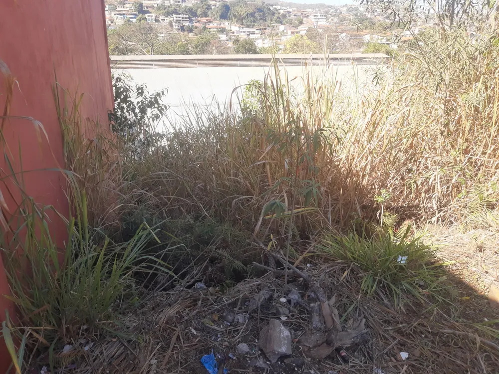 Terreno, 197 m² - Foto 4