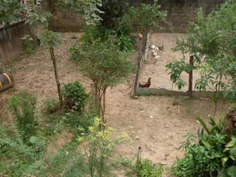 Casa, 3 quartos, 360 m² - Foto 5