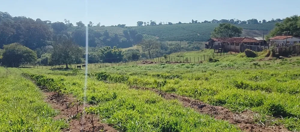 Sítio, 1 quarto, 21 hectares - Foto 4