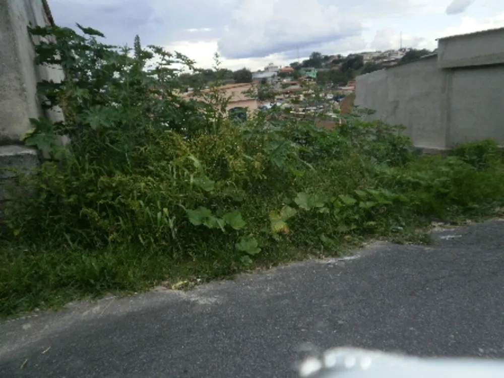 Terreno, 250 m² - Foto 3
