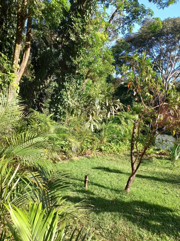 Loja-Salão, 700 m² - Foto 5