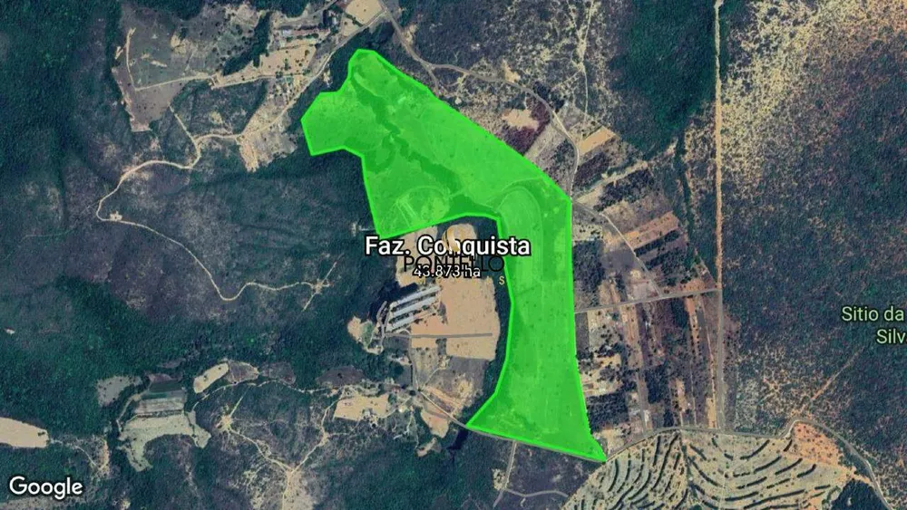 Fazenda, 65 hectares - Foto 4