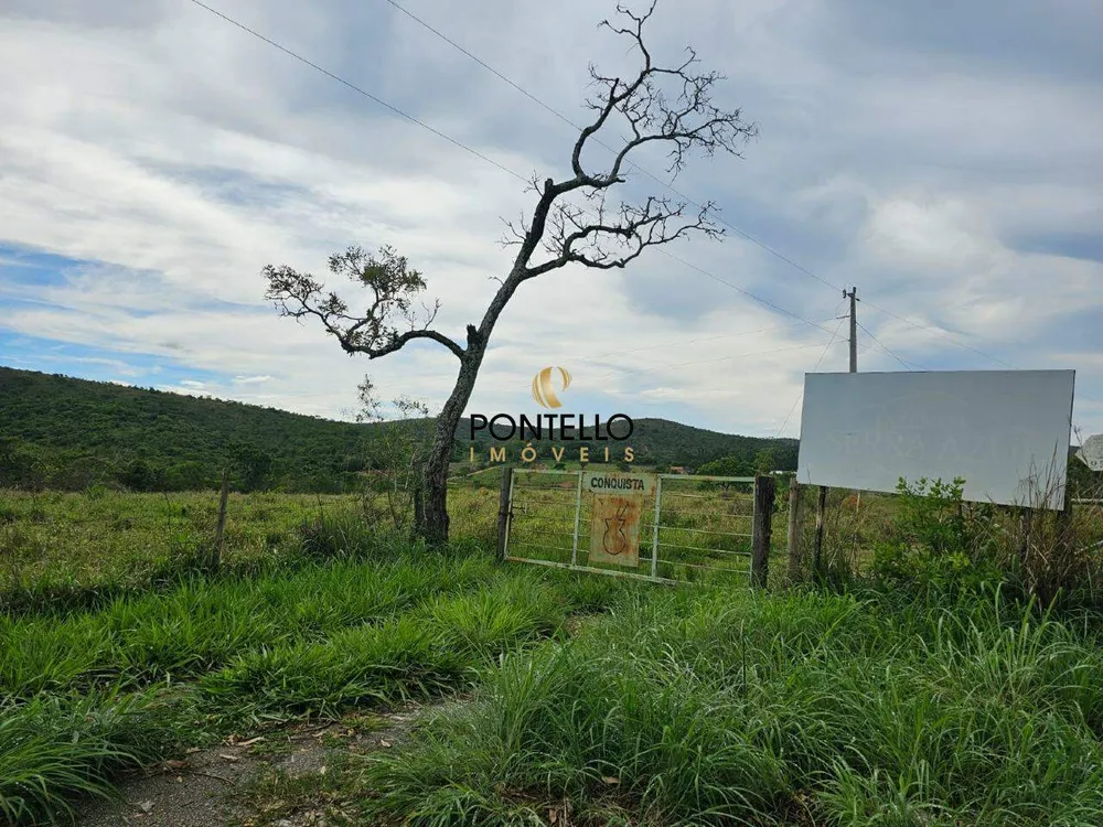 Fazenda, 65 hectares - Foto 8