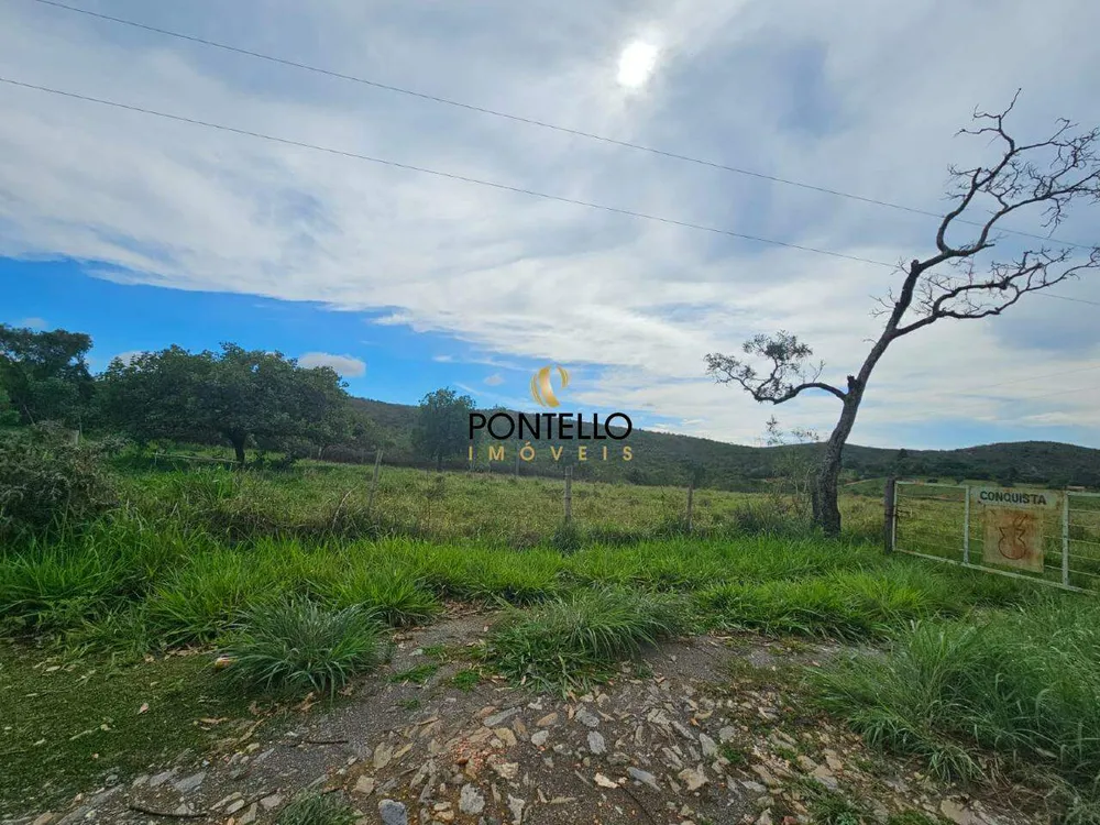 Fazenda, 65 hectares - Foto 5