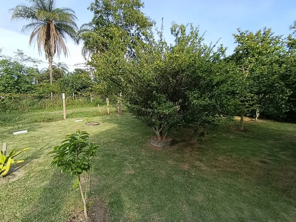 Chácara, 3 quartos, 1500 m² - Foto 6