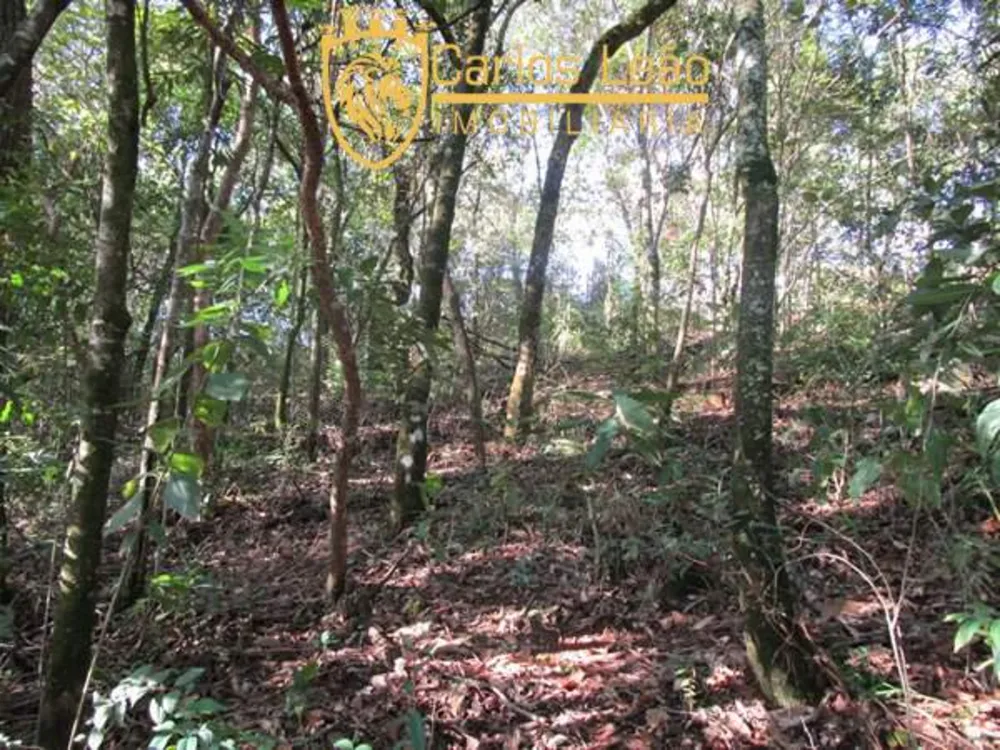 Terreno, 2100 m² - Foto 7