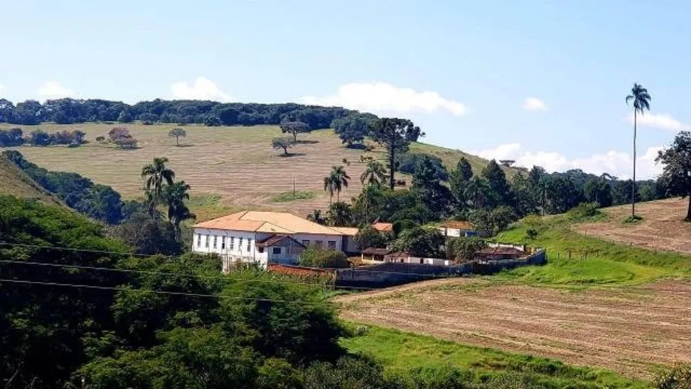 Fazenda, 190 hectares - Foto 8