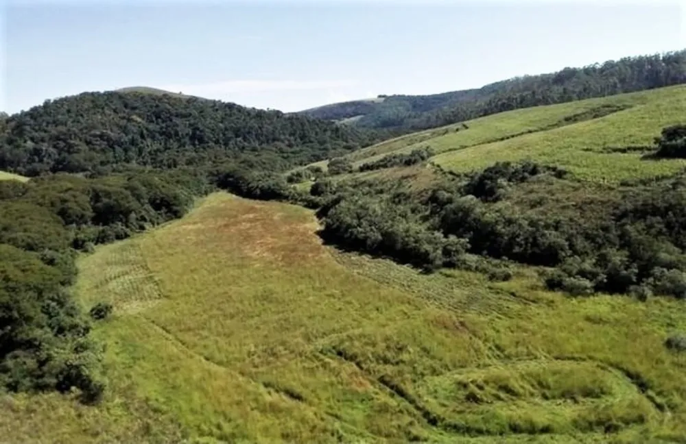 Fazenda, 190 hectares - Foto 2