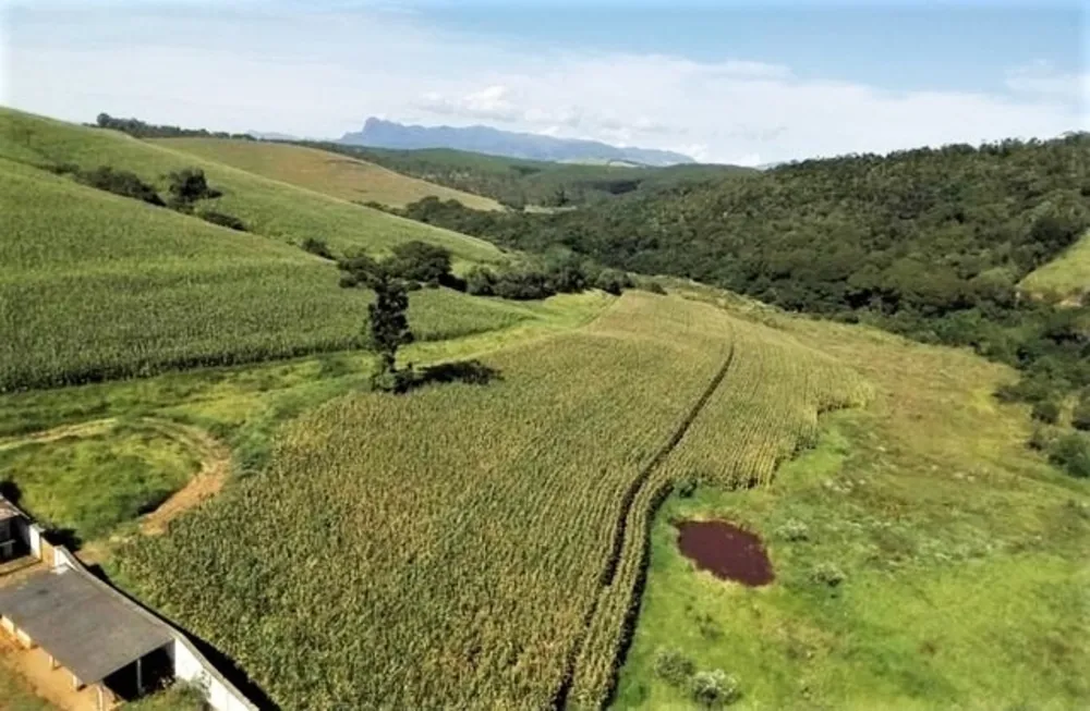 Fazenda, 190 hectares - Foto 1
