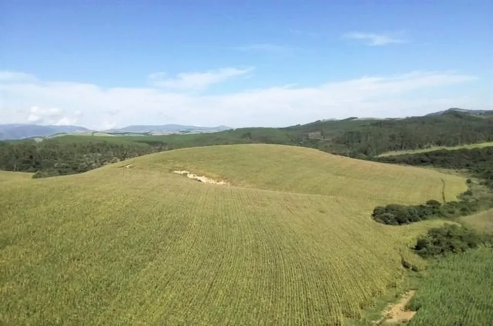 Fazenda, 190 hectares - Foto 5