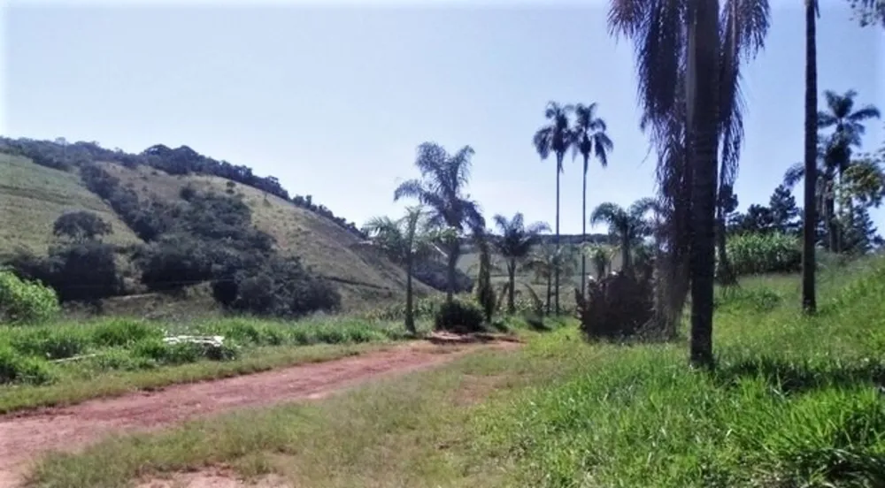 Fazenda, 190 hectares - Foto 4