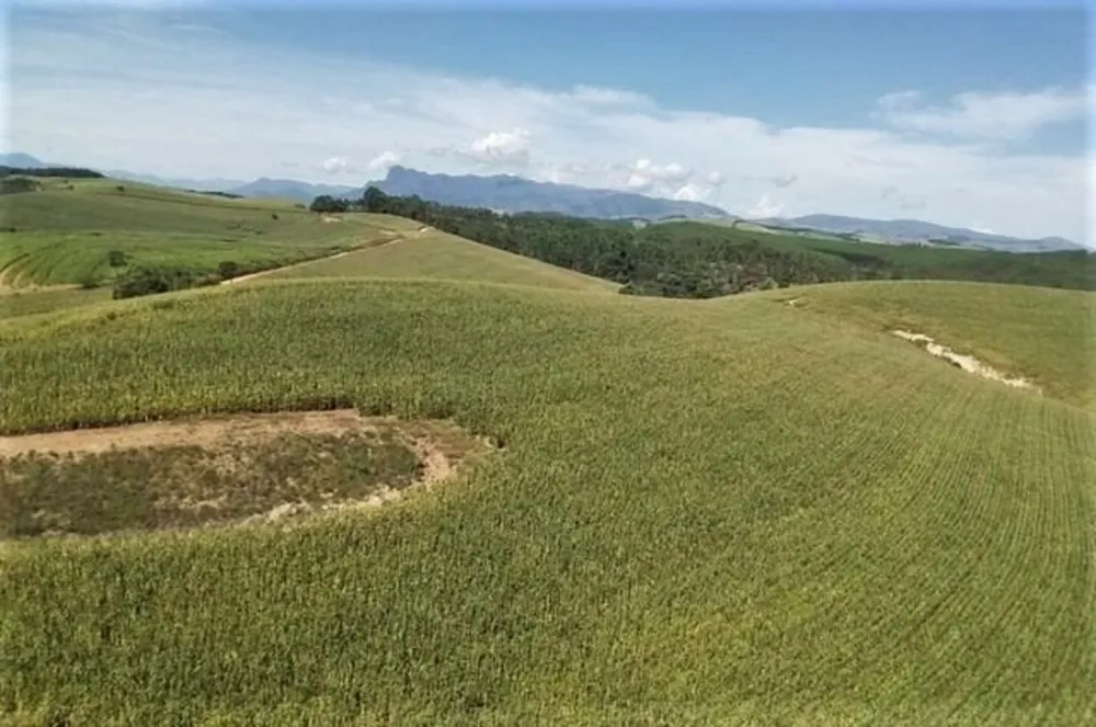 Fazenda, 190 hectares - Foto 4