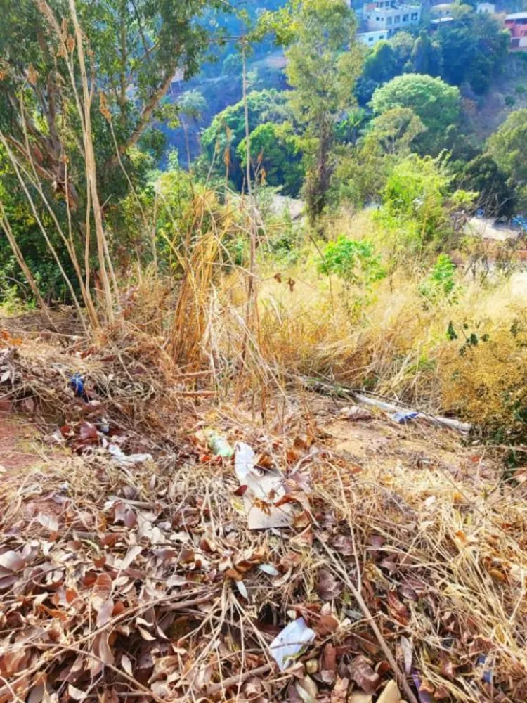 Terreno, 360 m² - Foto 7