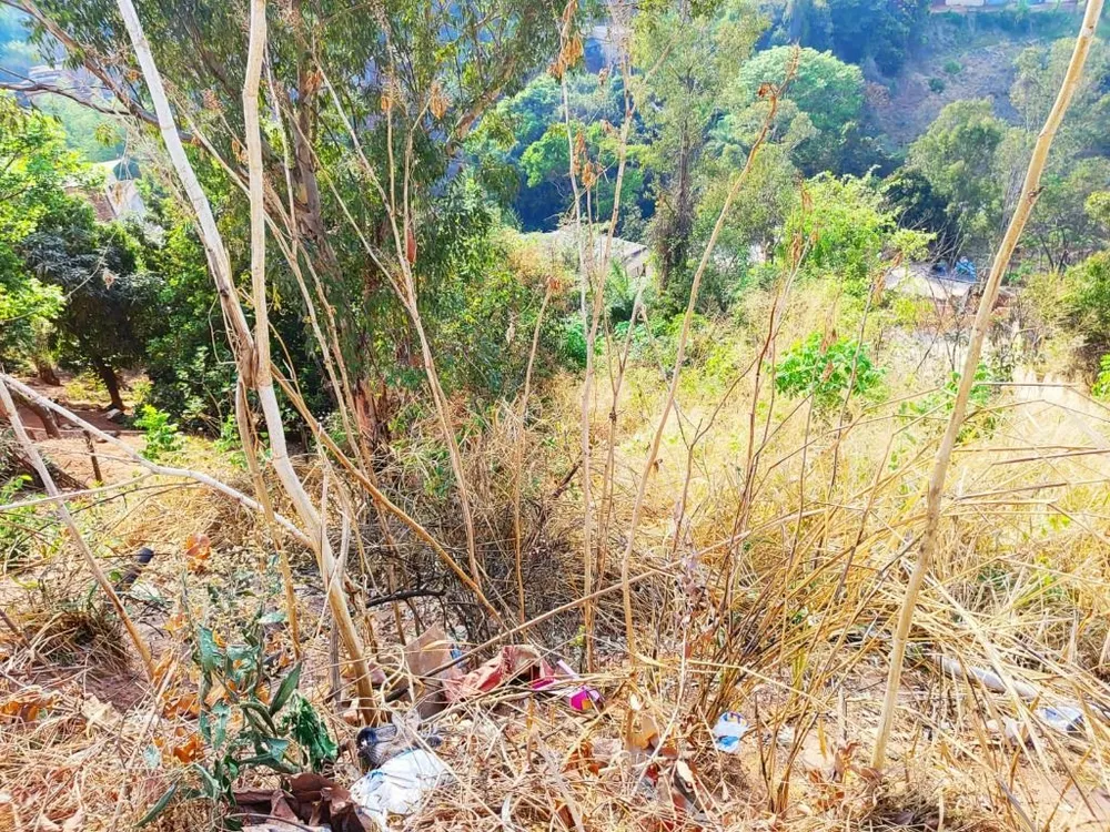 Terreno, 360 m² - Foto 8