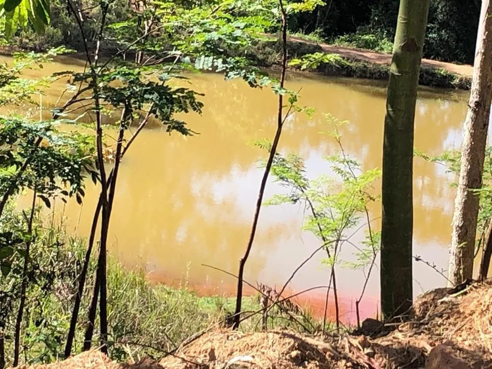 Chácara, 3 quartos, 72 hectares - Foto 10