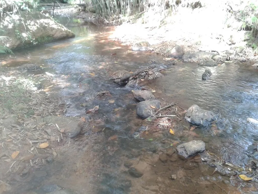 Chácara, 3 quartos, 72 hectares - Foto 12